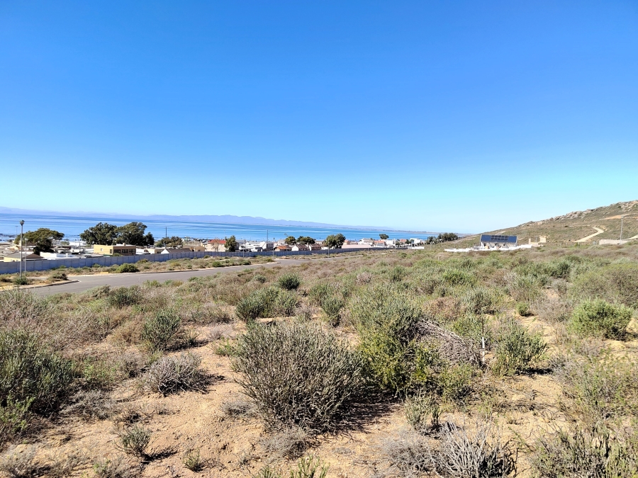 0 Bedroom Property for Sale in Steenbergs Cove Western Cape